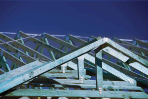 Treated pine frames and trusses